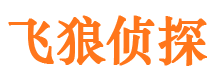 宿迁市私家侦探